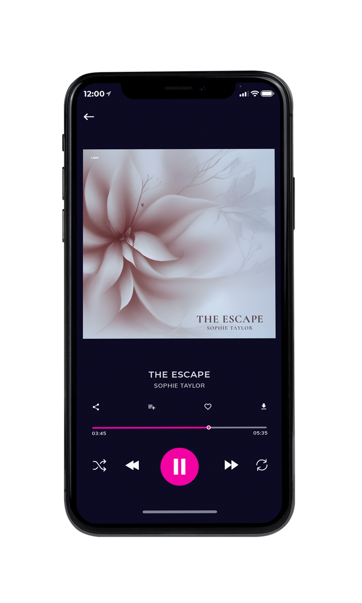 Tablet view of Premade Pop Album Cover - French Gray #22215 | AlbumArtZone*