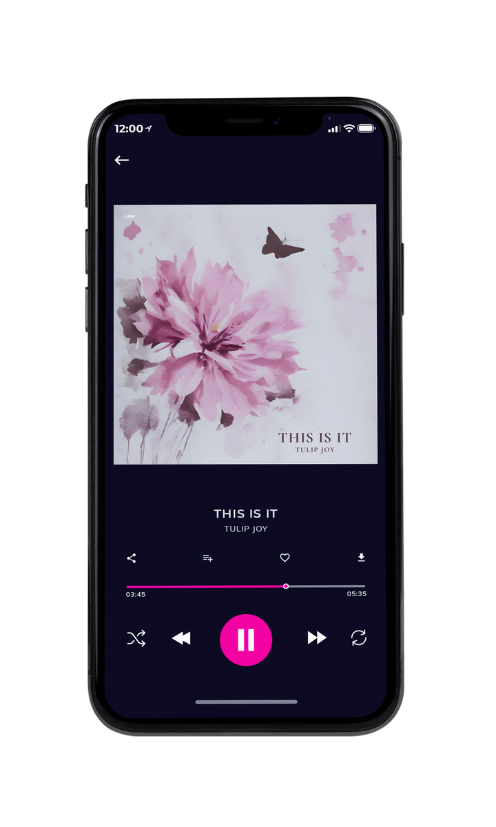 Tablet view of Premade Pop Album Cover - Pale Slate #22233 | AlbumArtZone*