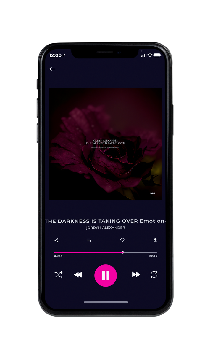 Tablet view of Premade Contemporary Music Album Cover - Graphite #22345 | AlbumArtZone*