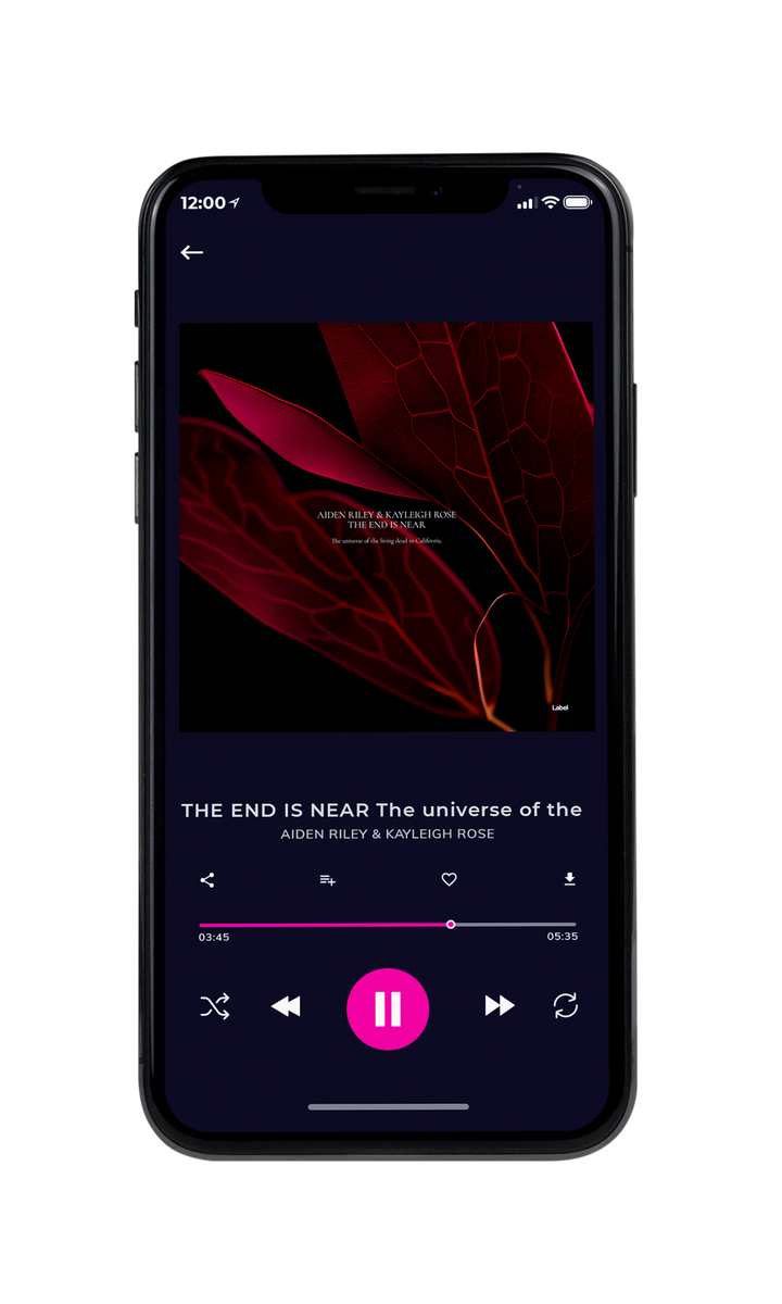 Tablet view of Premade Contemporary Music Album Cover - Creole #22347 | AlbumArtZone*
