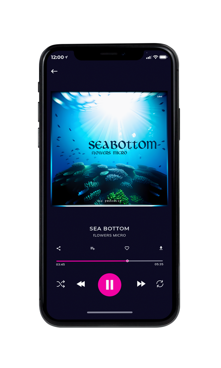 Tablet view of Premade Pop Album Cover - Humming Bird #22539 | AlbumArtZone*