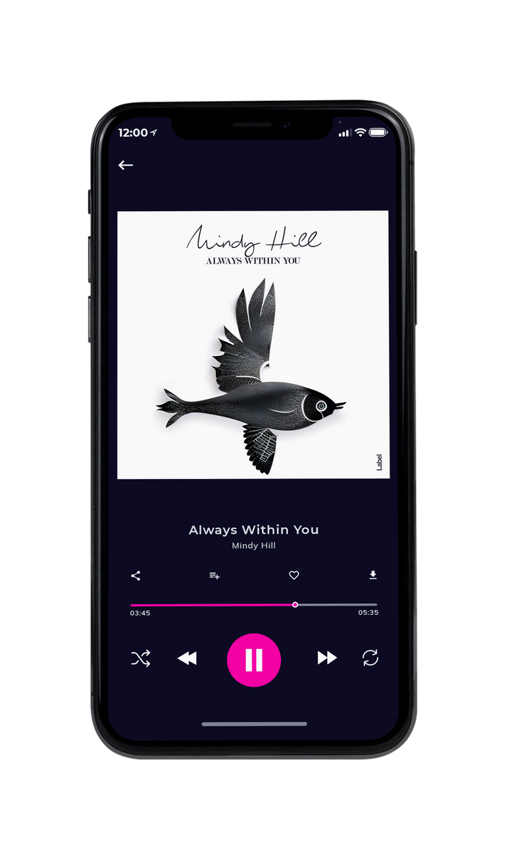 Tablet view of Premade Pop Album Cover - Westar #22717 | AlbumArtZone*