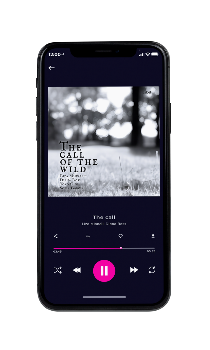 Tablet view of Premade Contemporary Music Album Cover - Silver #22723 | AlbumArtZone*
