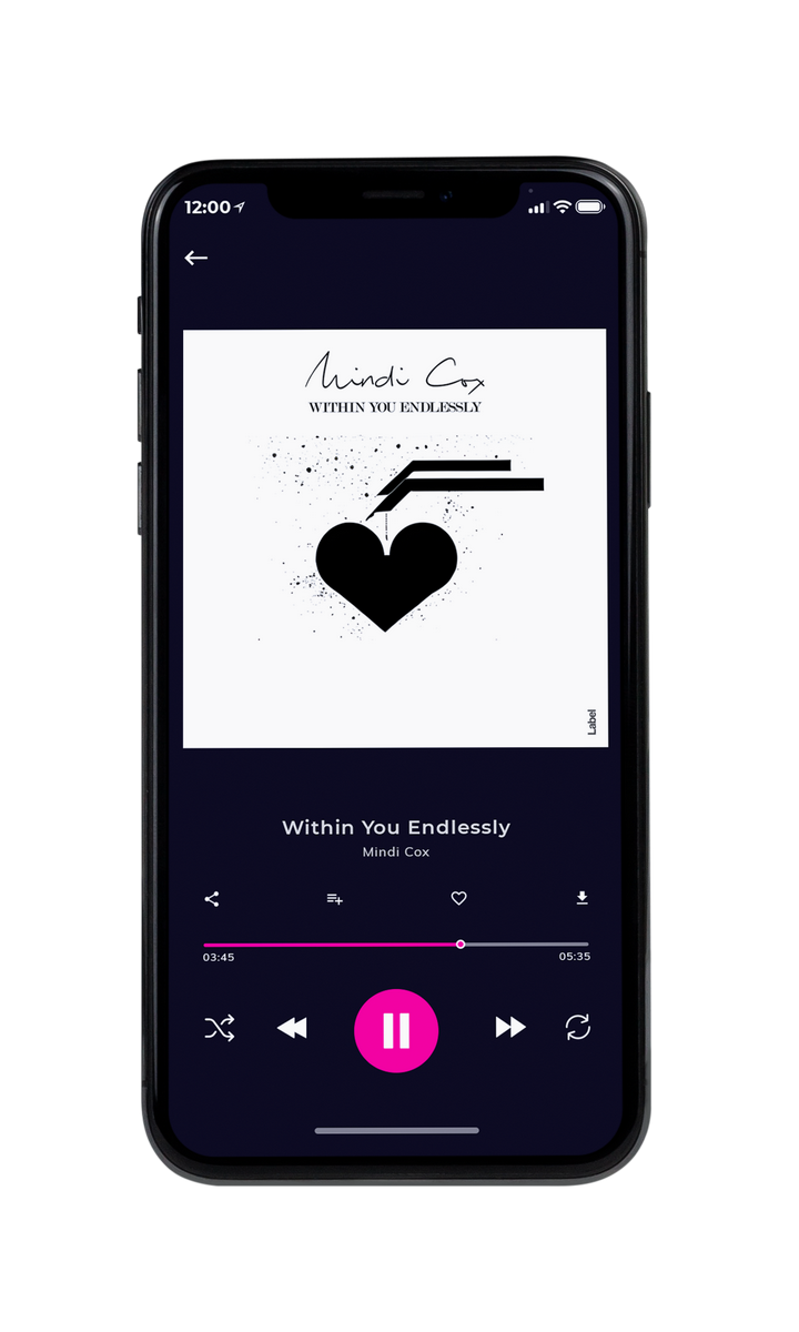 Tablet view of Premade Pop Album Cover - Cod Gray #22755 | AlbumArtZone*