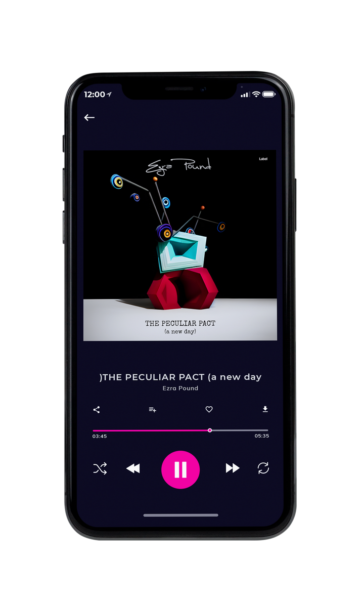Tablet view of Premade Pop Album Cover - Cod Gray #22776 | AlbumArtZone*