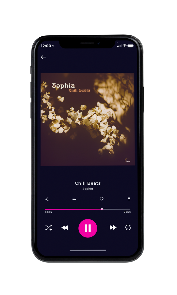 Tablet view of Premade Electronica & Ambient Album Cover - English Walnut #22932 | AlbumArtZone*