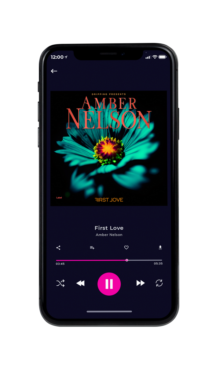 Tablet view of Premade Pop Album Cover - Niagara #23083 | AlbumArtZone*
