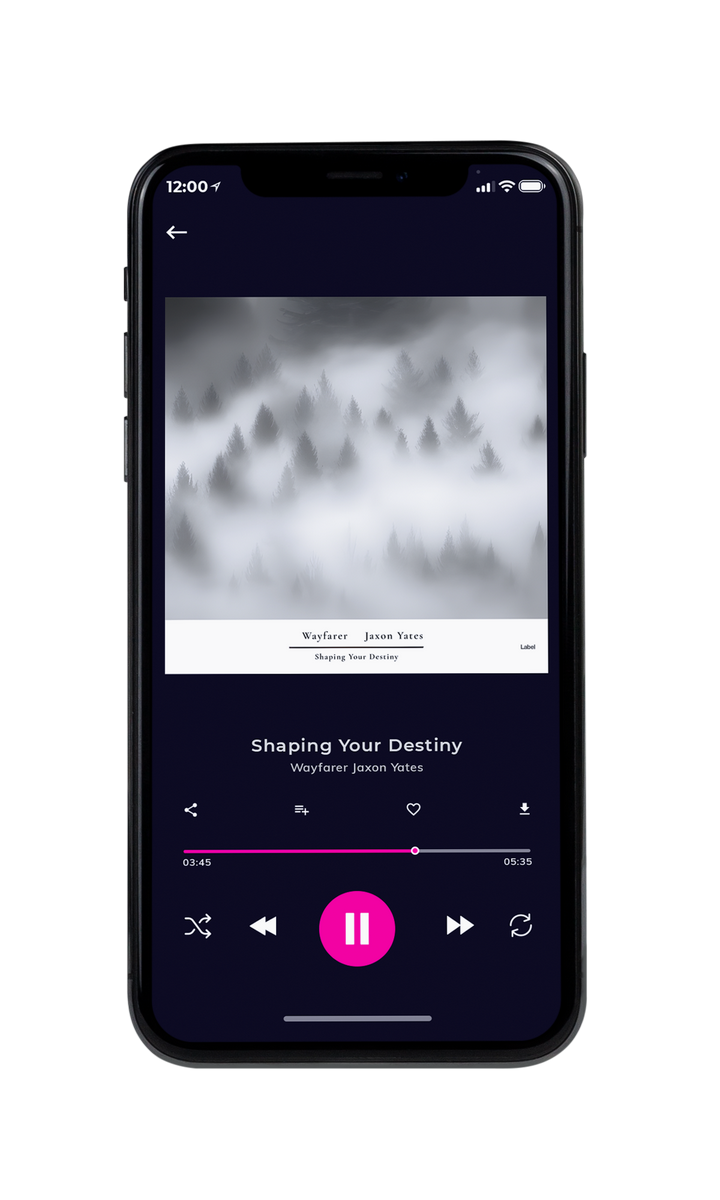 Tablet view of Premade Indie & Folk Music Album Cover - Silver #23116 | AlbumArtZone*