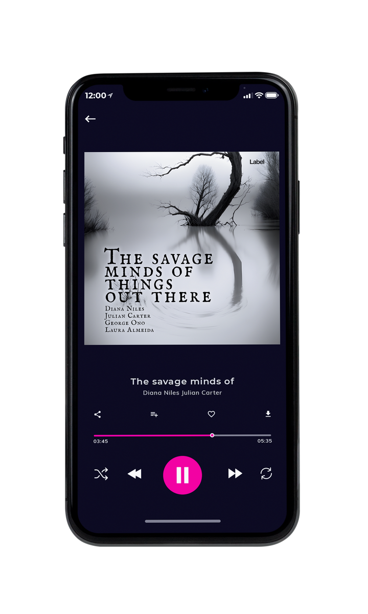 Tablet view of Premade Contemporary Music Album Cover - Silver #23125 | AlbumArtZone*
