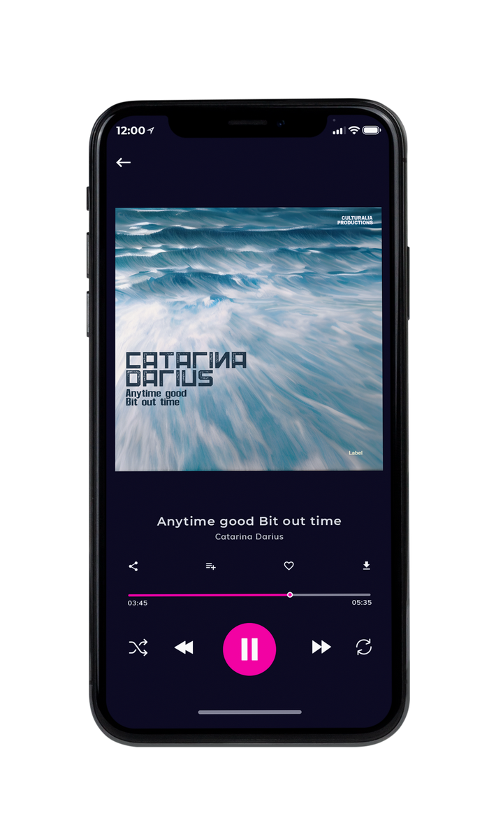 Tablet view of Premade EDM, House & Dub Album Cover - Regent Gray #23242 | AlbumArtZone*