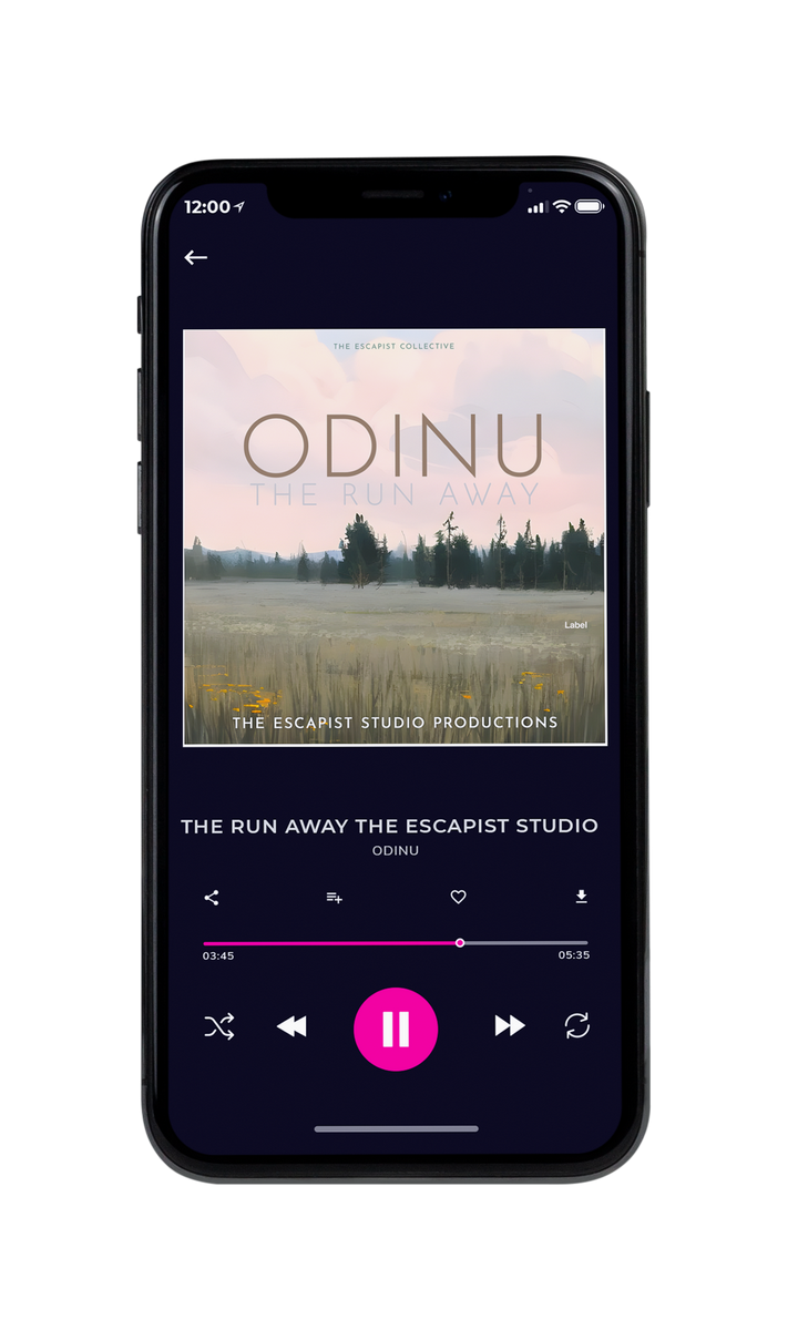 Tablet view of Premade Country & Acoustic Album Cover - Finch #23394 | AlbumArtZone*