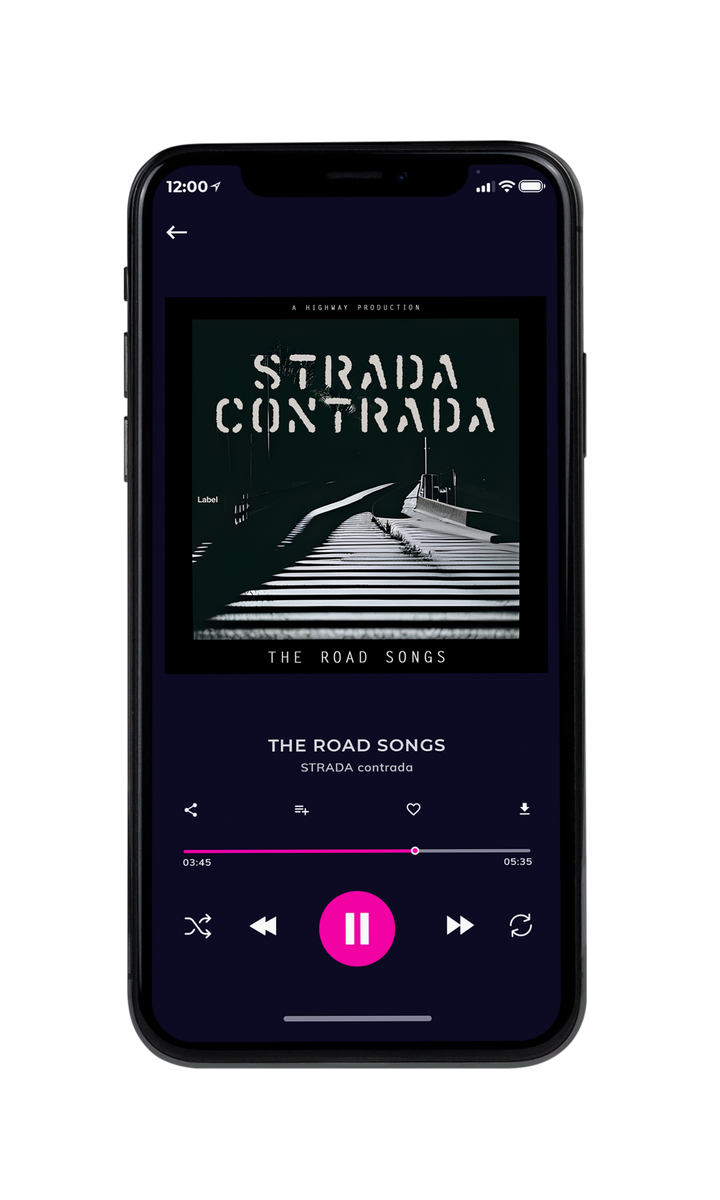 Tablet view of Premade Rock,Punk & Alternative Album Cover - Gray Nickel #23410 | AlbumArtZone*