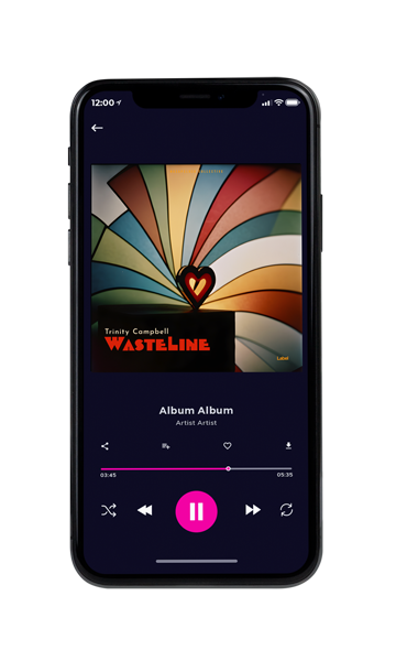 Tablet view of Premade Valentine's Day Album Cover - Armadillo #23724 | AlbumArtZone*