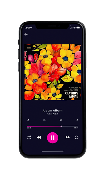 Tablet view of Premade Podcast Album Cover - Gondola #23772 | AlbumArtZone*
