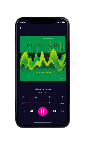 Tablet view of Premade EDM, House & Dub Book Cover - Fruit Salad #23832 | AlbumArtZone*