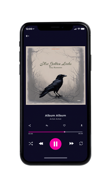 Tablet view of Premade Indie & Folk Music Book Cover - Bison Hide #23873 | AlbumArtZone*