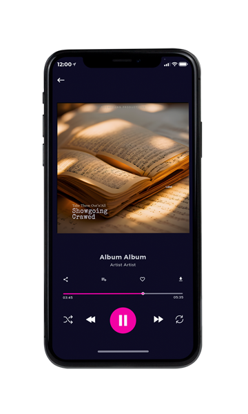 Tablet view of Premade Contemporary Music Album Cover - Spicy Mix #24026 | AlbumArtZone*