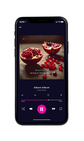 Tablet view of Premade Pop Album Cover - Cork #24070 | AlbumArtZone*