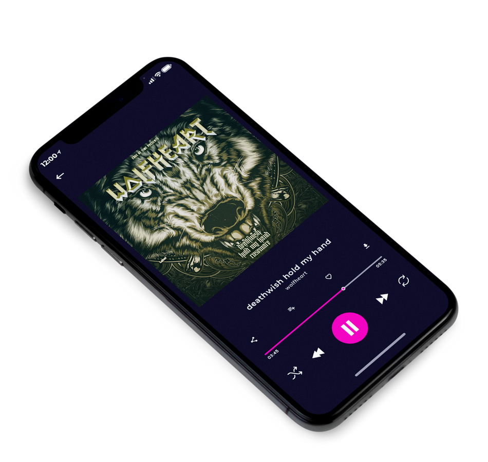 3D view of Premade Heavy Metal & Gothic Metal Album Cover - Bison Hide #1673 | AlbumArtZone*