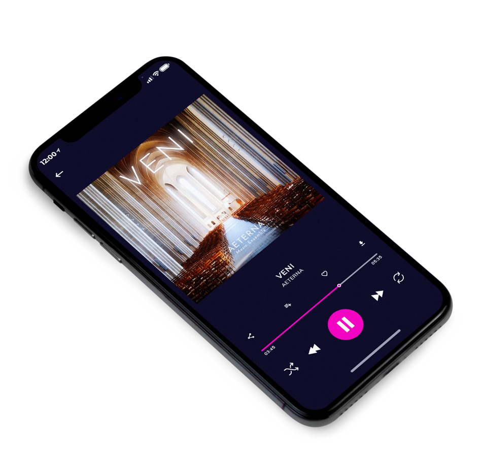3D view of Premade Early Music Album Cover - Pine Cone #2329 | AlbumArtZone*