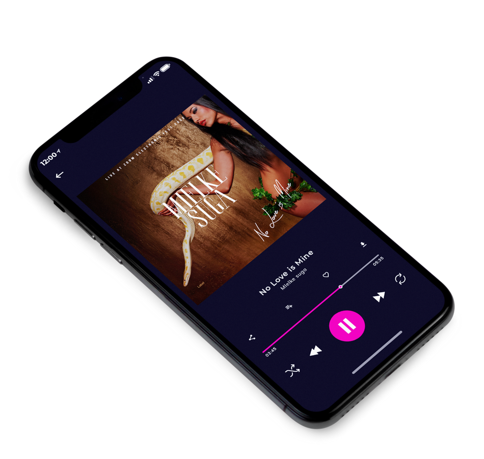 3D view of Premade Pop Album Cover - Cedar #3709 | AlbumArtZone*