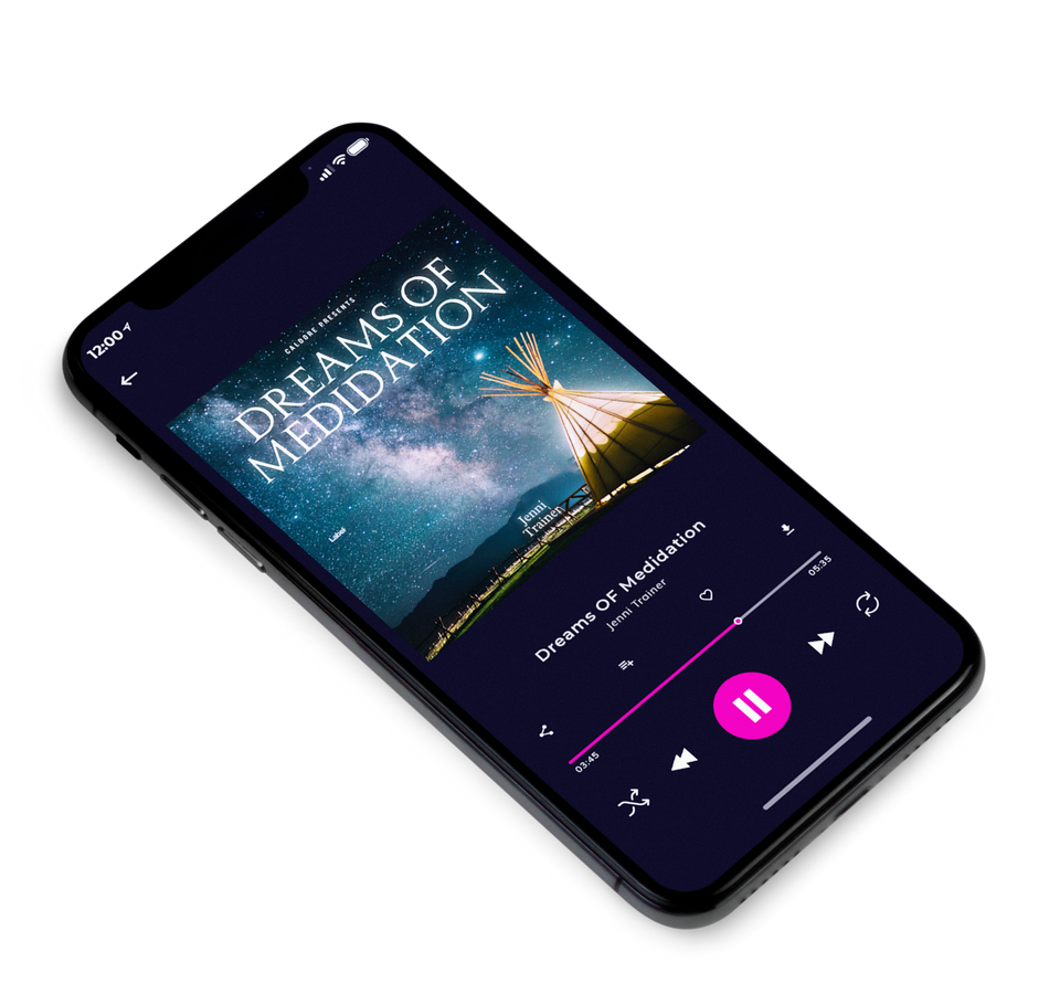 3D view of Premade Classical & Romantic Music Album Cover - Pickled Bluewood #3811 | AlbumArtZone*