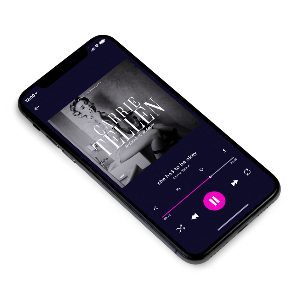 3D view of Premade Pop Album Cover - Tundora #4015 | AlbumArtZone*