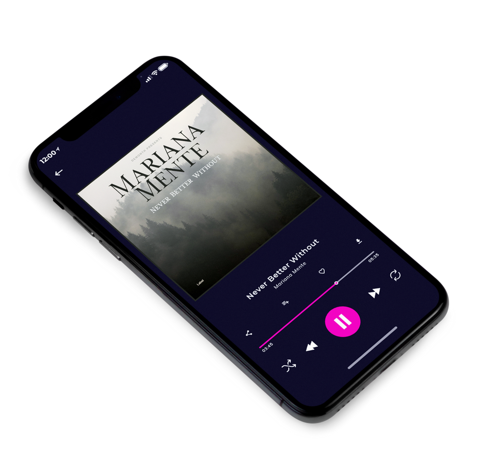 3D view of Premade Indie & Folk Music Album Cover - Armadillo #4045 | AlbumArtZone*