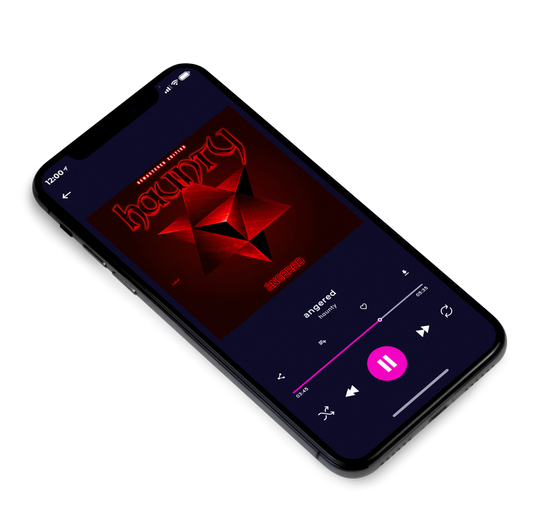 3D view of Premade Dance & House Album Cover - Rebel #7435 | AlbumArtZone*