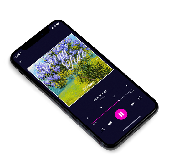 3D view of Premade Country & Acoustic Album Cover - Dingley #7462 | AlbumArtZone*