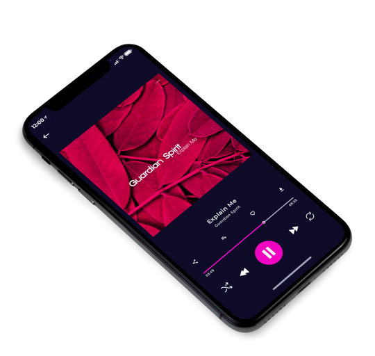3D view of Premade Rock,Punk & Alternative Album Cover - Paprika #7569 | AlbumArtZone*