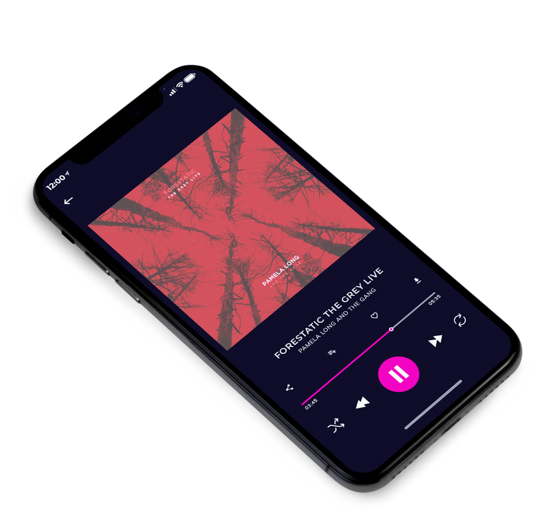 3D view of Premade Rock,Punk & Alternative Album Cover - Matrix #8655 | AlbumArtZone*