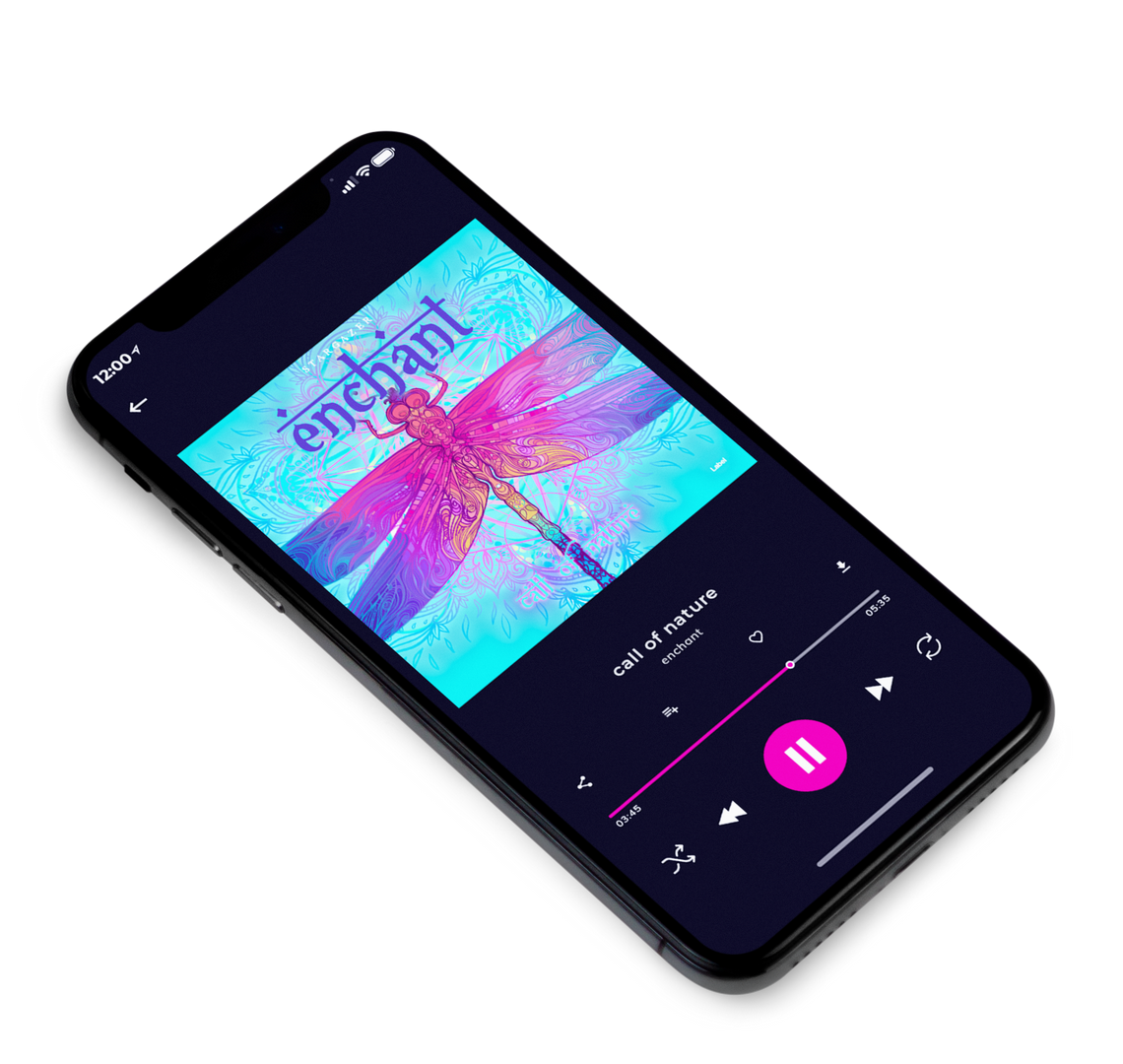 3D view of Premade Contemporary Music Album Cover - Seagull #8706 | AlbumArtZone*