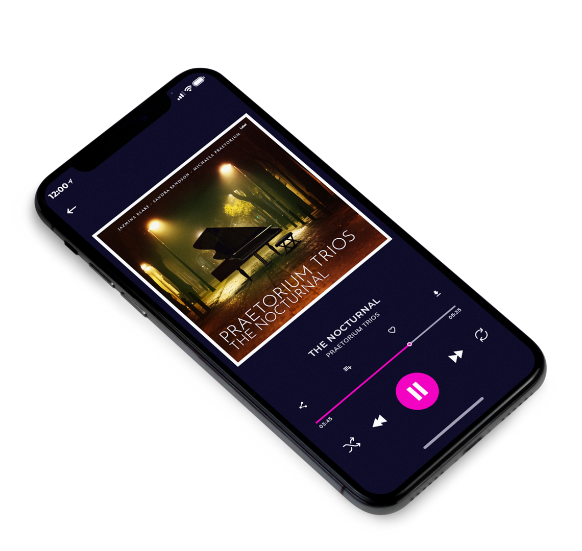 3D view of Premade Traditional Jazz & Blues Album Cover - Karaka #8839 | AlbumArtZone*