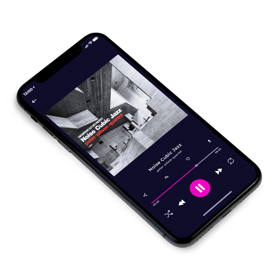 3D view of Premade Traditional Jazz & Blues Album Cover - Tundora #8883 | AlbumArtZone*