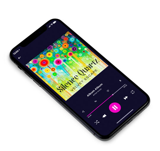 3D view of Premade Contemporary Music Album Cover - Wild Willow #11119 | AlbumArtZone*