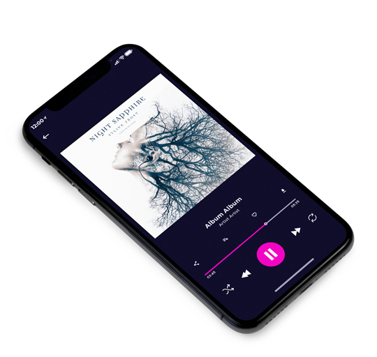 3D view of Premade Electronica & Ambient Album Cover - Pickled Bluewood #11310 | AlbumArtZone*