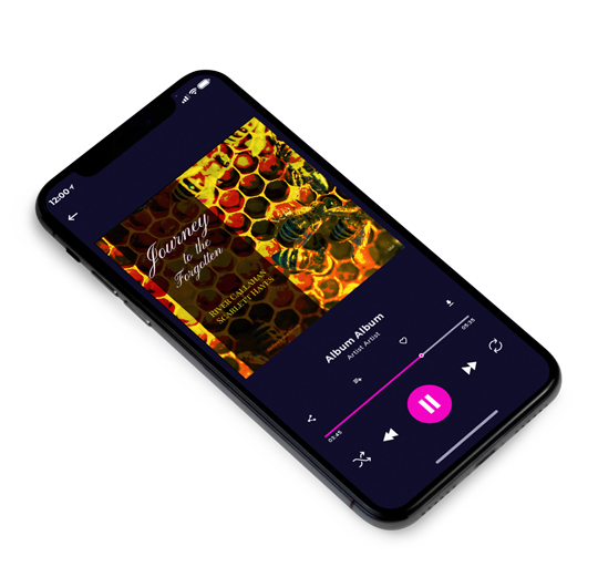 3D view of Premade Indie & Folk Music Album Cover - Pizza #16859 | AlbumArtZone*