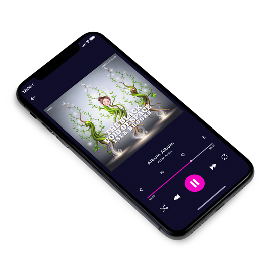 3D view of Premade Electronica & Ambient Album Cover - Friar Gray #17489 | AlbumArtZone*