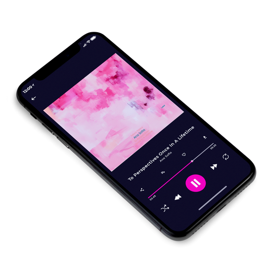 3D view of Premade Contemporary Music Album Cover - Can Can #21067 | AlbumArtZone*