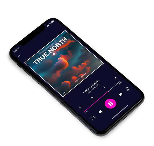 3D view of Premade Rock,Punk & Alternative Album Cover - Tuna #21620 | AlbumArtZone*