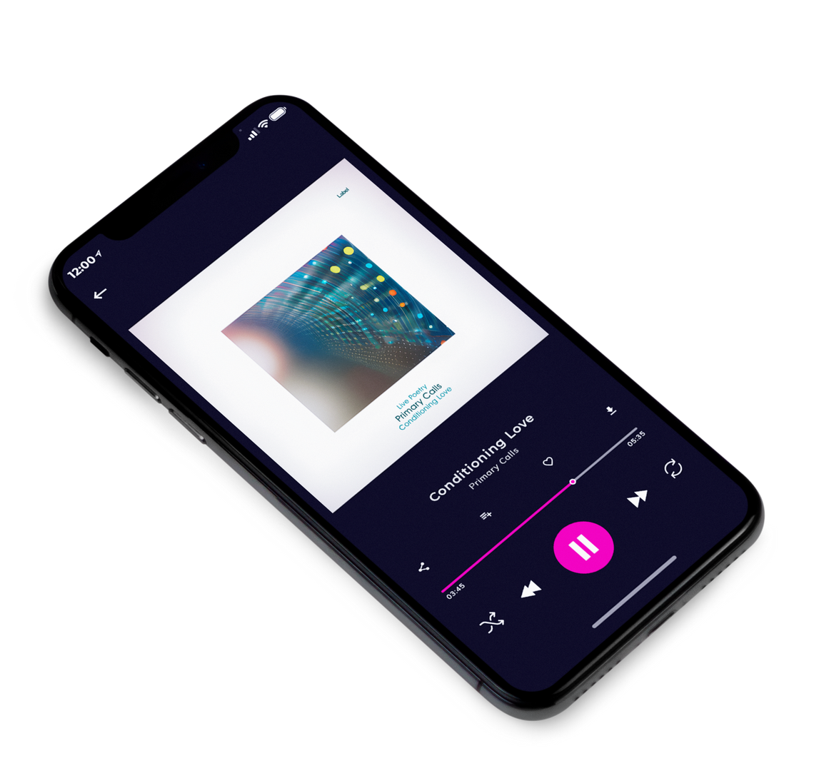 3D view of Premade Pop Album Cover - Bon Jour #23292 | AlbumArtZone*