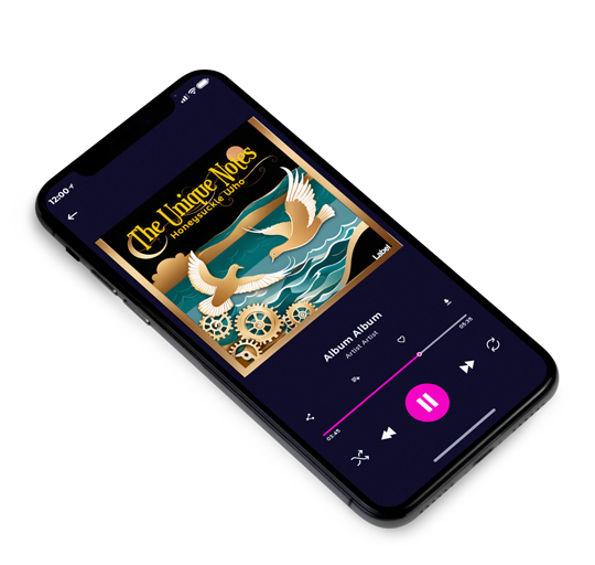 3D view of Premade Rock,Punk & Alternative Album Cover - Tumbleweed #23715 | AlbumArtZone*