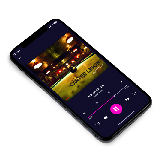 3D view of Premade Indie & Folk Music Album Cover - Onion #23770 | AlbumArtZone*