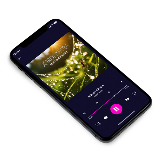 3D view of Premade Classical & Romantic Music Album Cover - Camouflage #23911 | AlbumArtZone*