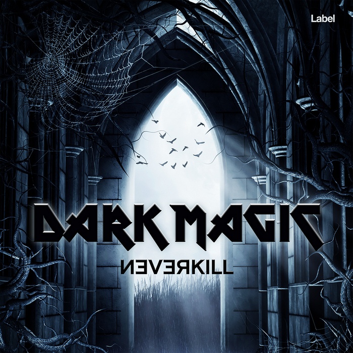 2D view of Premade Heavy Metal & Gothic Metal Album Cover - Ebony #109 | AlbumArtZone*