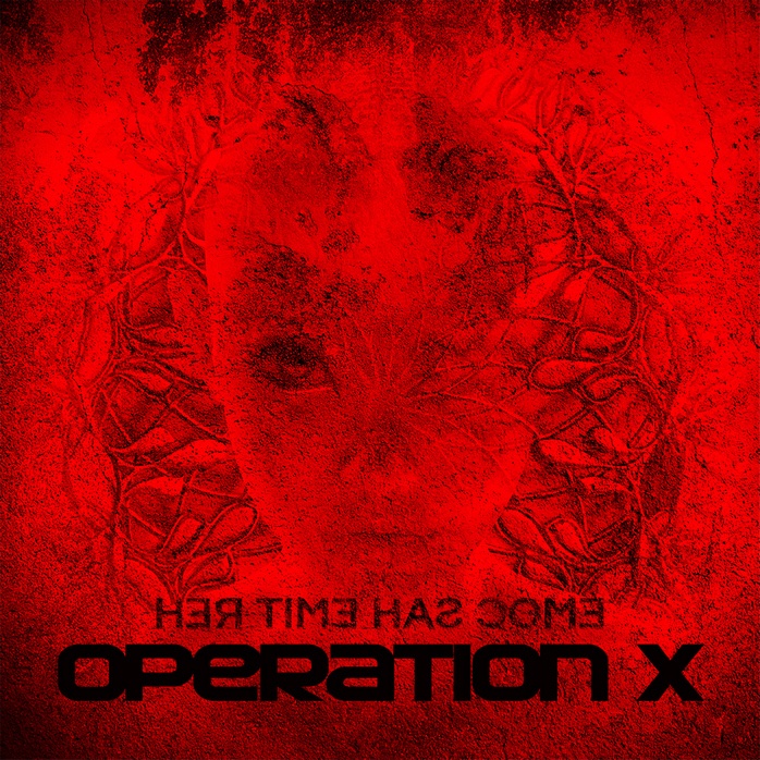 2D view of Premade Dance & House Album Cover - Red #114 | AlbumArtZone*