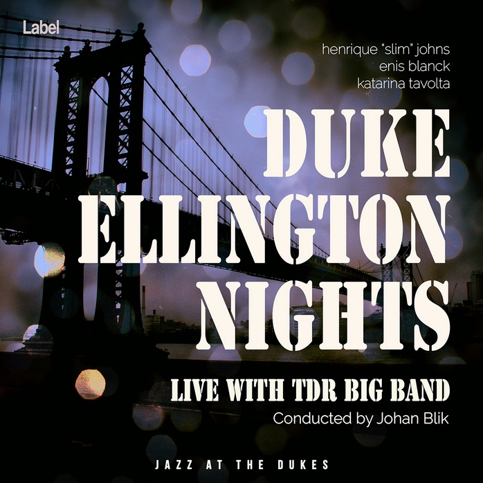 2D view of Premade Traditional Jazz & Blues Album Cover - Pampas #249 | AlbumArtZone*