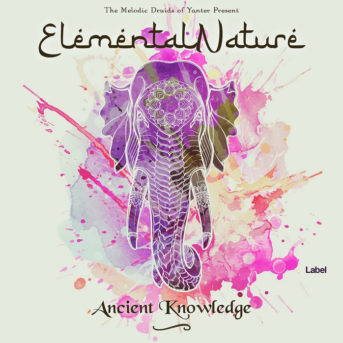 2D view of Premade Indie & Folk Music Album Cover - Westar #645 | AlbumArtZone*