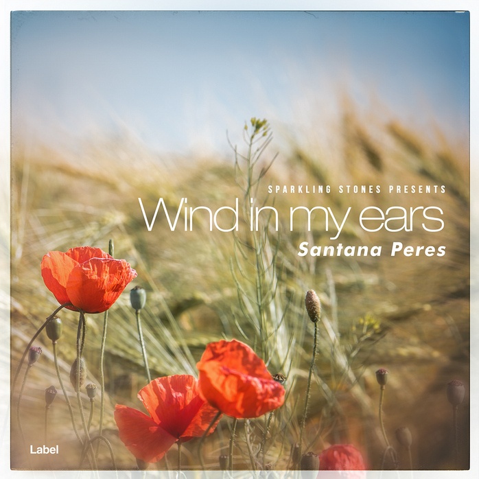 2D view of Premade Indie & Folk Music Book Cover - Sandal #872 | AlbumArtZone*